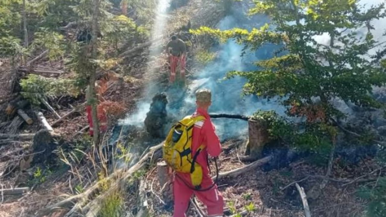 Situata e zjarreve në vend, ende 10 vatra aktive! Tre të tjera nën monitorim, dhjetëra forca zjarrfikëse në terren