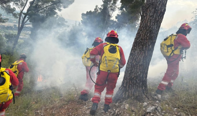 Situata e zjarreve në vend, regjistrohen 38 vatra zjarri gjatë 24 orëve të fundit