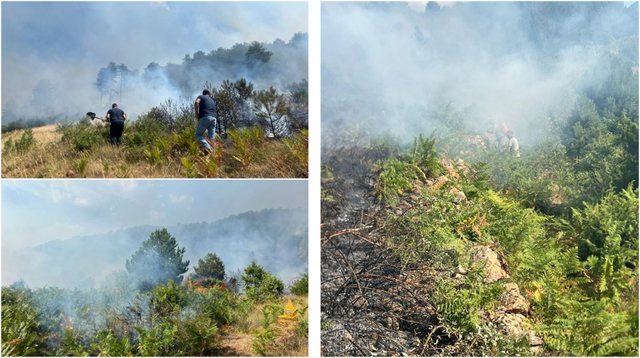 Situatë kritike pas zjarreve në Gramsh/ 42 banesa të djegura, mbi 200 krerë bagëti të humbura dhe dhjetëra banorë të evakuuar