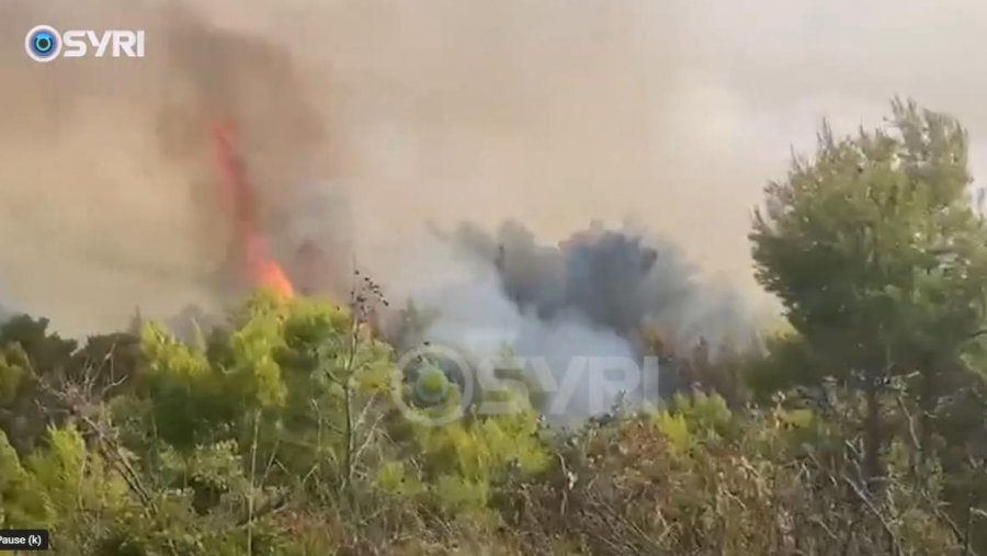 SYRI TV/ Zjarret shkrumbojnë pyjet e Mallakastrës, rrezikohen banesat përreth