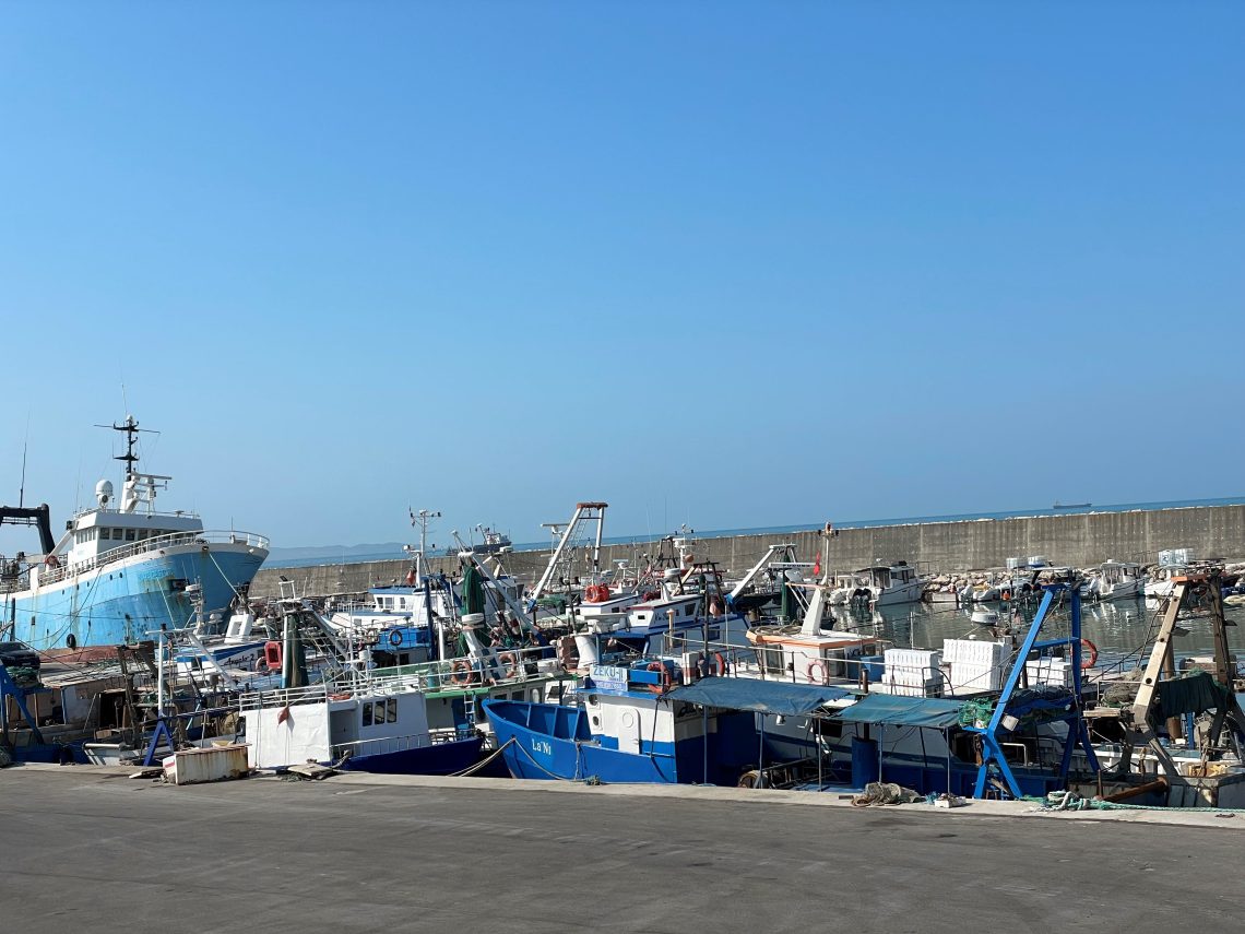 Të vetmit në Mesdhe/ Peshkimi pa ndërprerje në Shqipëri rrezikon rezervat detare