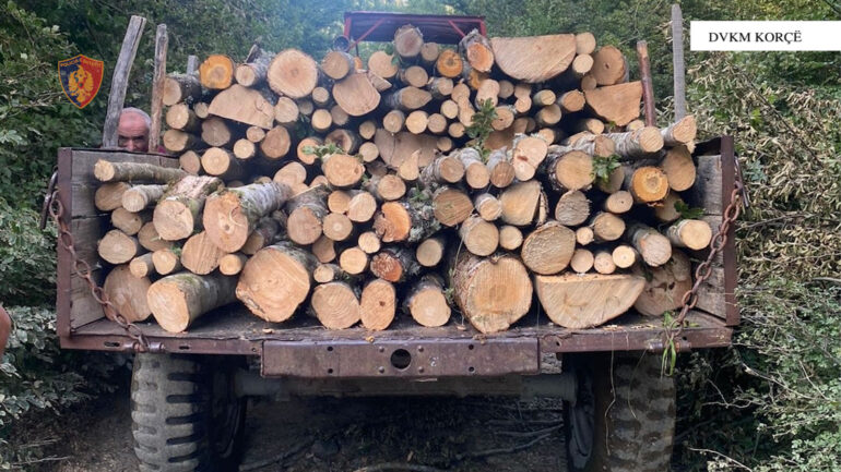 Transportonte lëndë drusore në mënyrë të paligjshme/ I sekuestrohet mjeti, dhe arrestohet nga policia