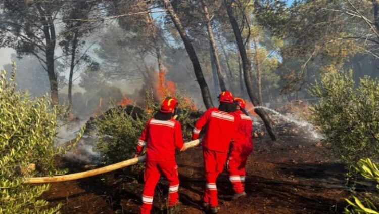 Tre vatra aktive në qarkun e Beratit, më problematikja në Poliçan