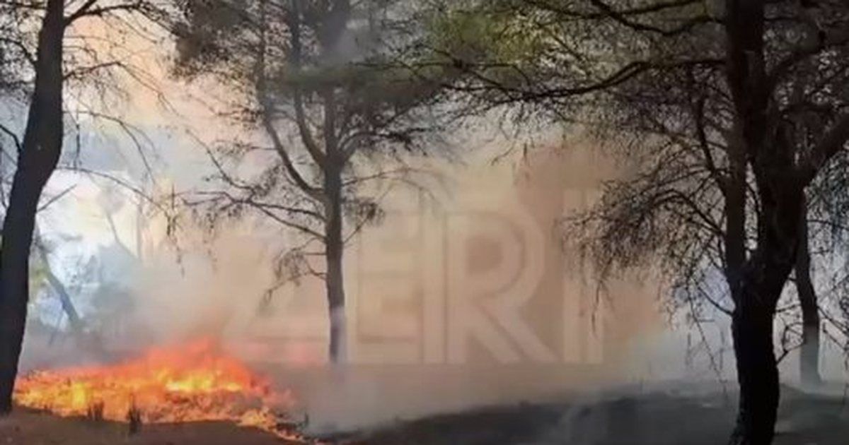U fik në mëngjes, riaktivizohen flakët në pyllin e Poros në Vlorë