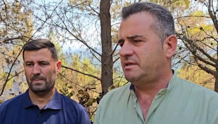 Vatrat e zjarrit në Mallakastër, kryebashkiaku Ismailaj: Vetëm ndërhyrja nga ajri mund t’i izolojë flakët