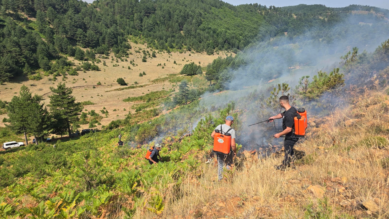 Vatrat e zjarrit nën kontroll! Bashkitë, grupe pune për verifikikmin e dëmeve në terren