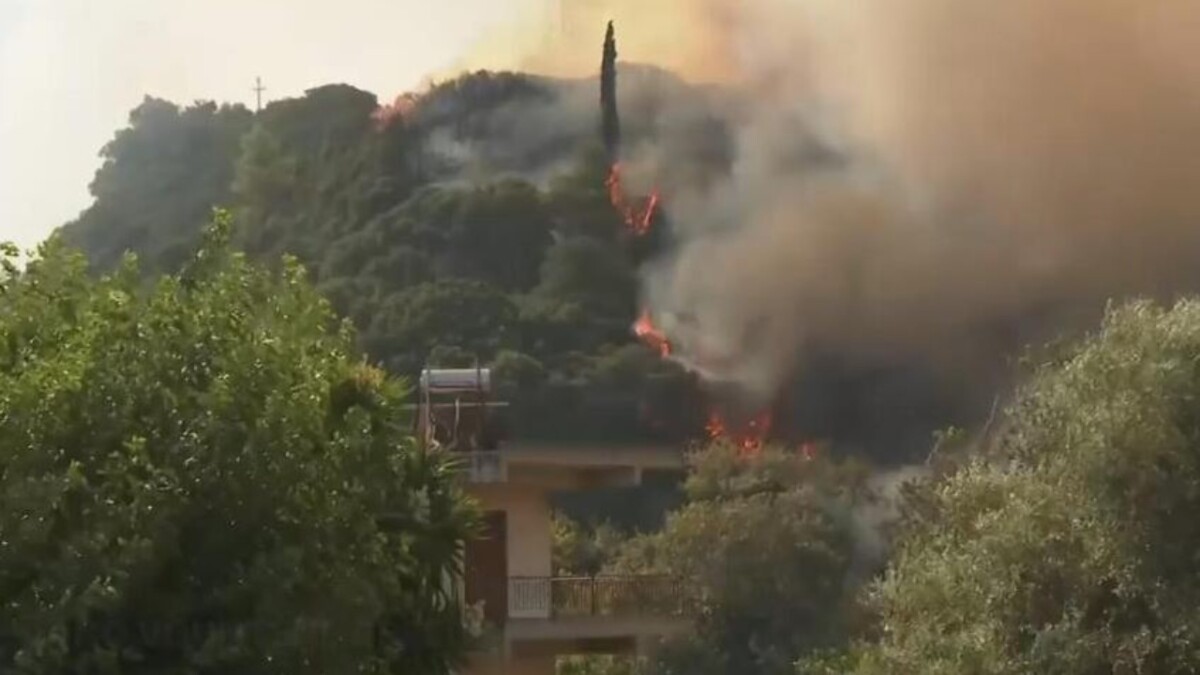 “Vendi po përballet me flakë vdekjeprurëse”/ Zjarret masive në Shqipëri në fokusin e mediave prestigjoze ndërkombëtare