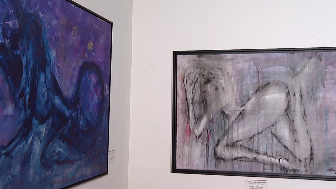 Vetmi-Fantazi/ Ekspozita e artistes kontemporane Xhensila Petritaj