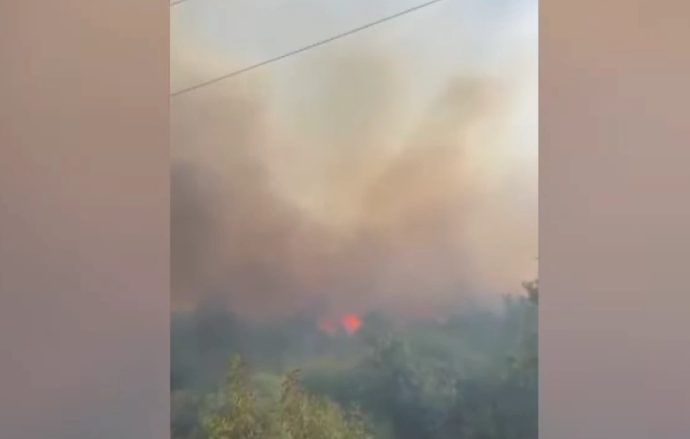 VIDEO/ Bie zjarr në fshatin Vajzë në Selenicë