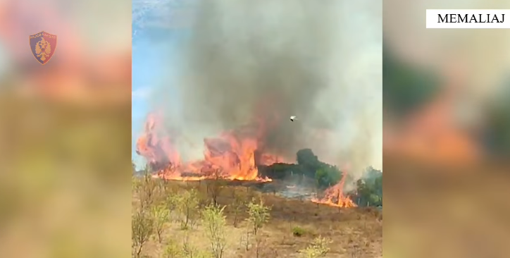 (VIDEO)Memaliaj, vuri zjarr duke djegur 3 banesa, 400 pemë../ Arrestohet 62 vjeçari