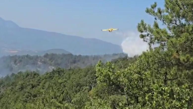 Vihet nën kontroll zjarri në Mirditë, digjen dhjetëra hektarë pisha