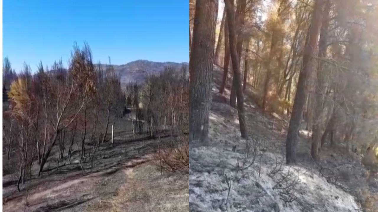 Vihet nën kontroll zjarri në Poliçan, nuk ka më rrezik për banesat