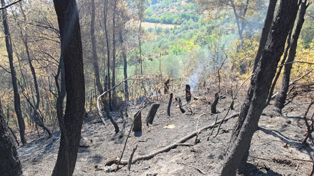 Vijojnë të mbeten aktive vatrat e zjarrit në Mallakastër, terreni i thepisur vështirëson ndërhyrjen nga toka