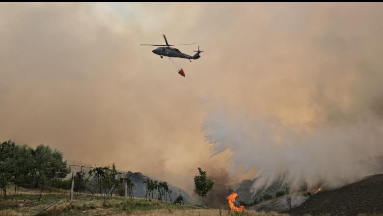 Vijojnë zjarret në Gramsh, evakuohen mbi 200 banorë