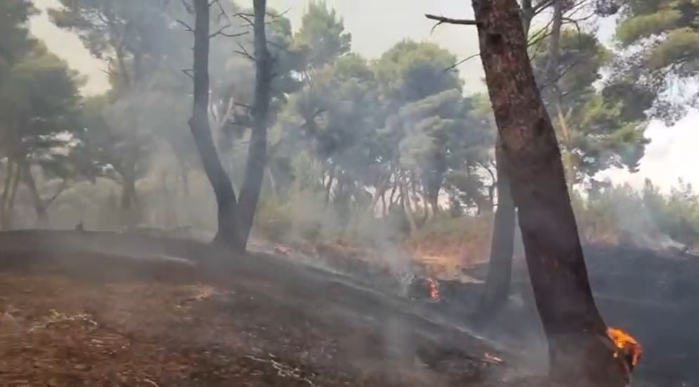 Vijon zjarri pranë lagunës së Nartës, edhe dy helikopterë për shuarjen e flakëve