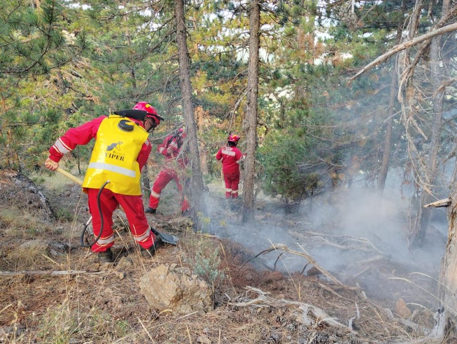Zgjerohet sipërfaqja e zjarreve në Parkun e Gërmenjit, në terren 65 forca