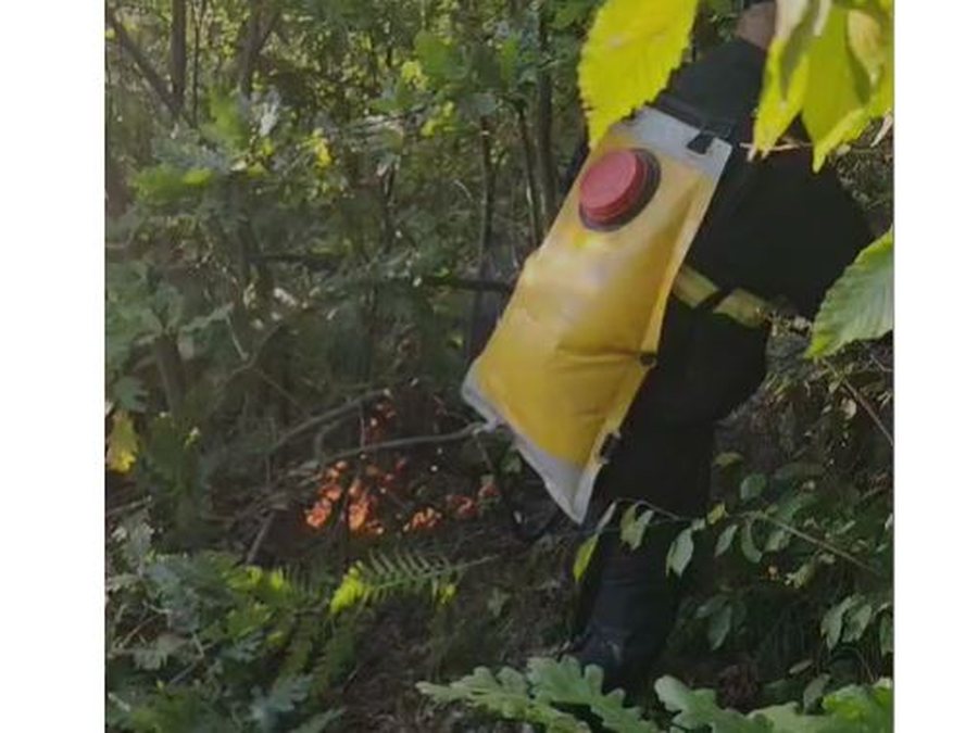 Zgjerohet zjarri në zonën pyjore në Miras në Devoll, ndërhyrja nga terreni e vështirë, 70 forca në aksion