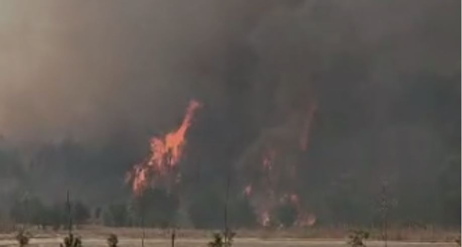 Zjarr afër Syrit të Kaltër/ Evuakohen turistët, zjarrfikësit në vendin e ngjarjes