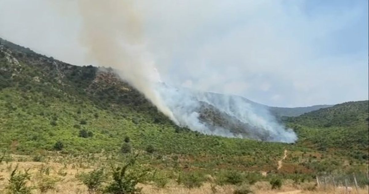Zjarr masiv në kodrat e Tragjasit, flakët përfshijnë pyjet, terreni vështirëson ndërhyrjen