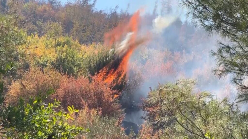 Zjarr në malin e Skërficës, kërkohet ndërhyrje nga ajri