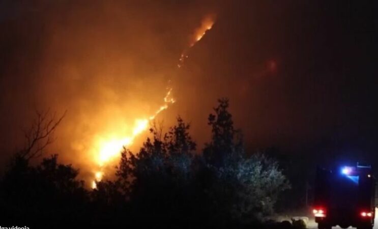 Zjarr në një përrua të Gjirokastrës, flakët rrezikojnë dhe shtëpitë e Dunavatit