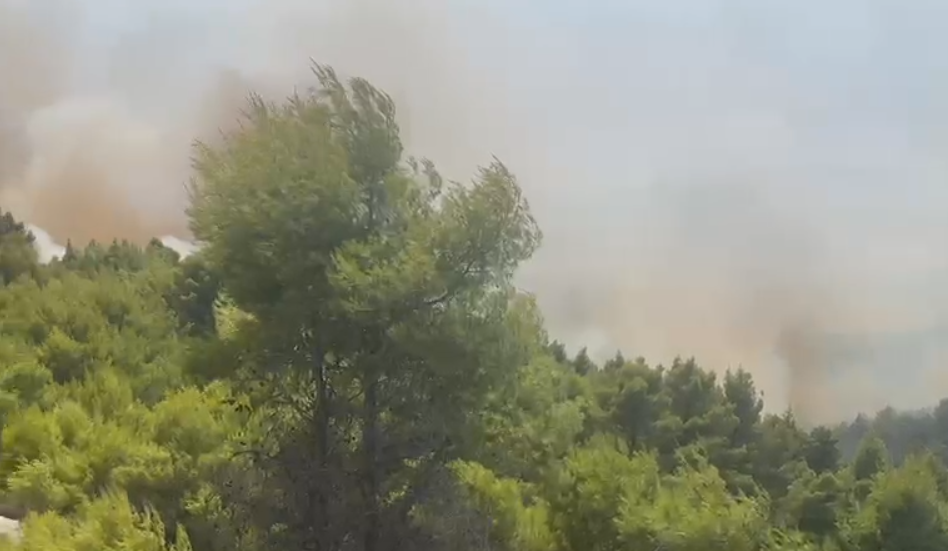 Zjarr në pyllin mes Patosit dhe Mallakastrës, ndërhyjnë Emergjencat dhe helikopteri