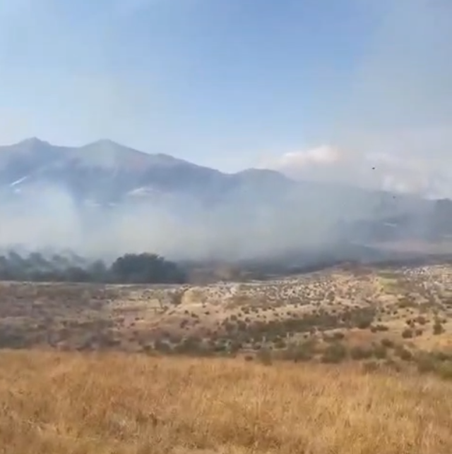 Zjarr në Selenicë, rrezikohen banesat