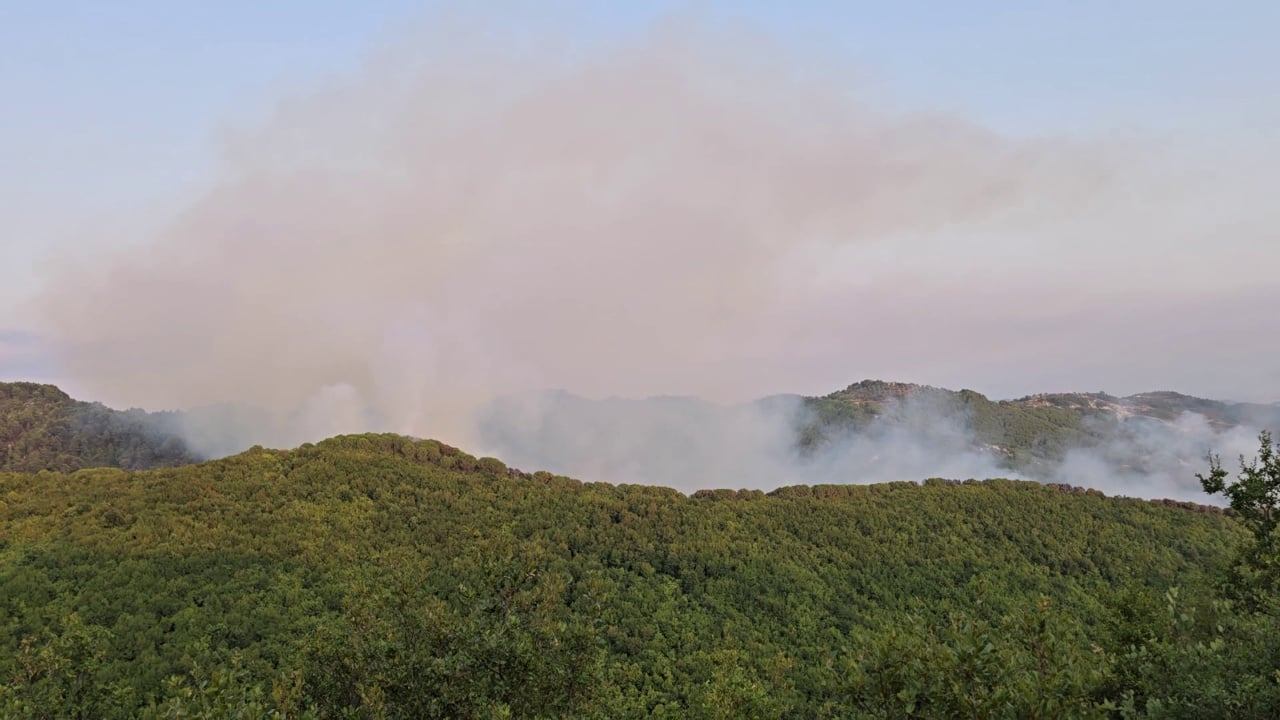 Zjarre në Mallakastër, aktive prej disa ditësh! Gjatë ditës së sotme pritet ndërhyrja me helikopterë