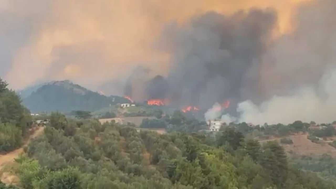 Zjarret masive në vend/ 46 të arrestuar që prej qershorit, 91 autorë nën hetim
