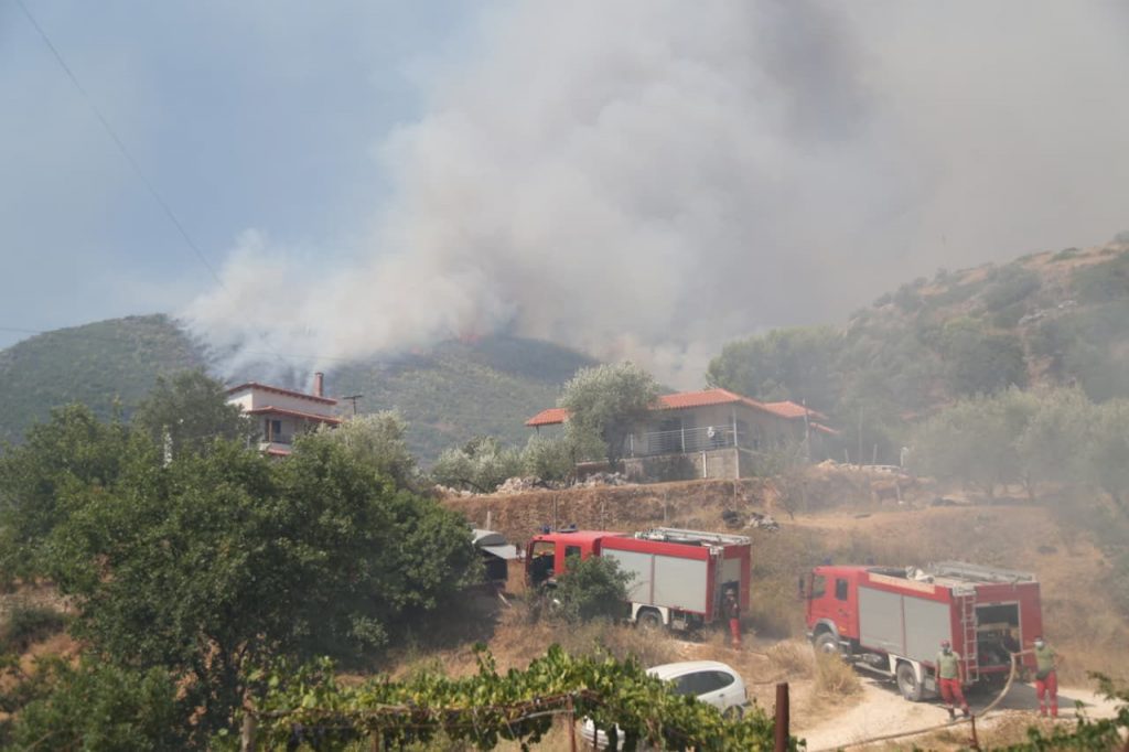 Zjarret, ministrja Denaj: Autoritetet në terren për vlerësimin e dëmeve në bujqësi dhe blegtori