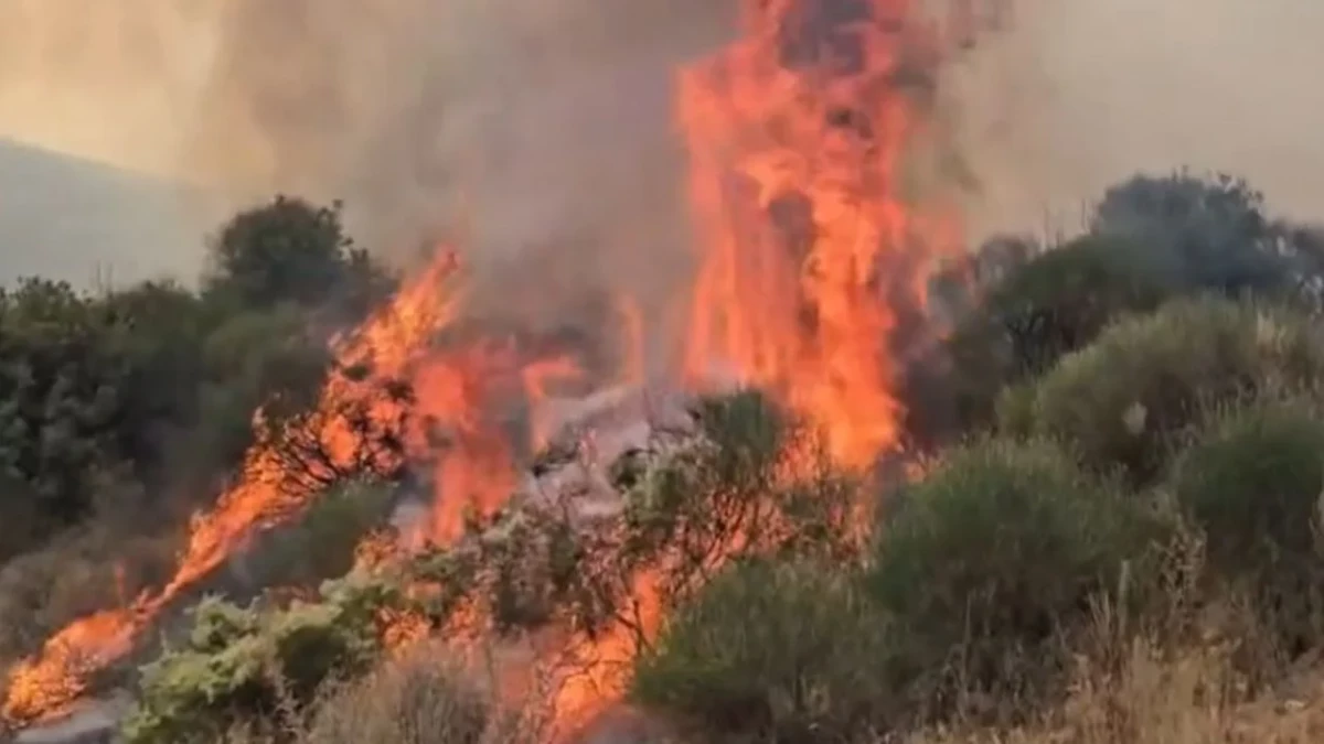 Zjarret në fshatrat e Dhivrit në Gjirokastër jashtë kontrollit, nis ndërhyrja nga ajri