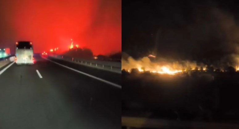 Zjarret në Greqi/ Situatë alarmante në Patra, evakuuohen banorët e 25 zonave