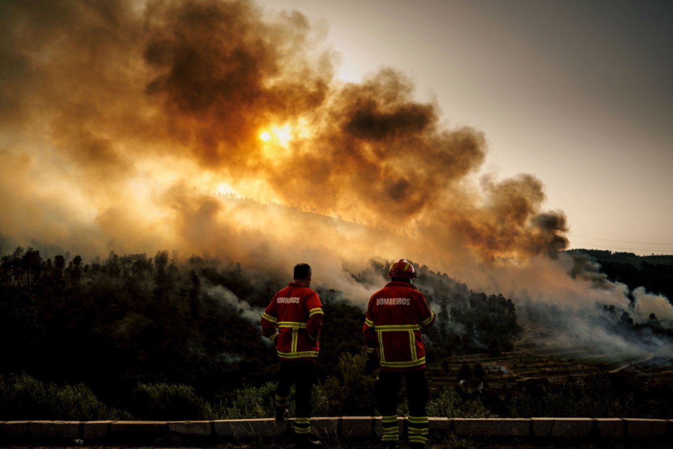 Zjarret në Portugali, zjarrfikësi 45-vjeçar vdes duke luftuar flakët