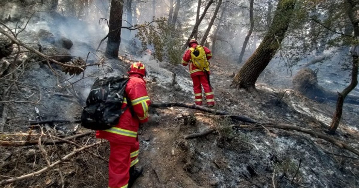 Zjarret në vend/ 26 vatra në 24 orët e fundit, vetëm 4 prej tyre ende aktive