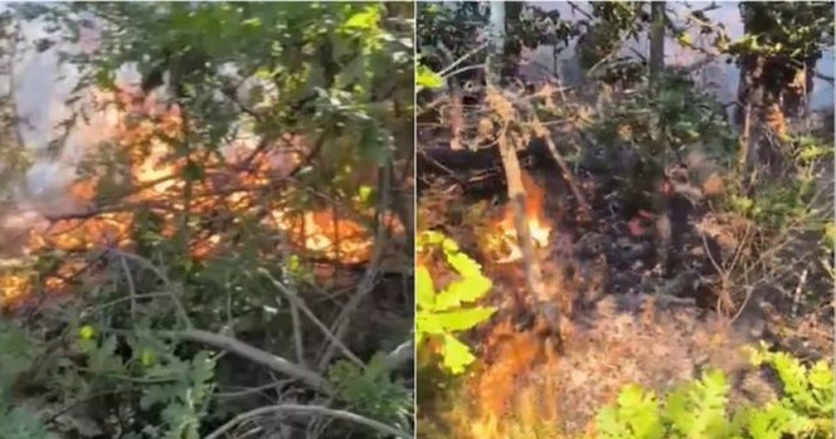 Zjarret në vend/ Mbrojtja: Vatra aktive në Miras të Devollit dhe në Pishë-Poros, 3 nën monitorim