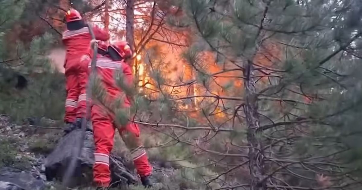 Zjarret në vend, Rama: Ata që ndezin zjarre duhet të marrin dënimin më të rëndë