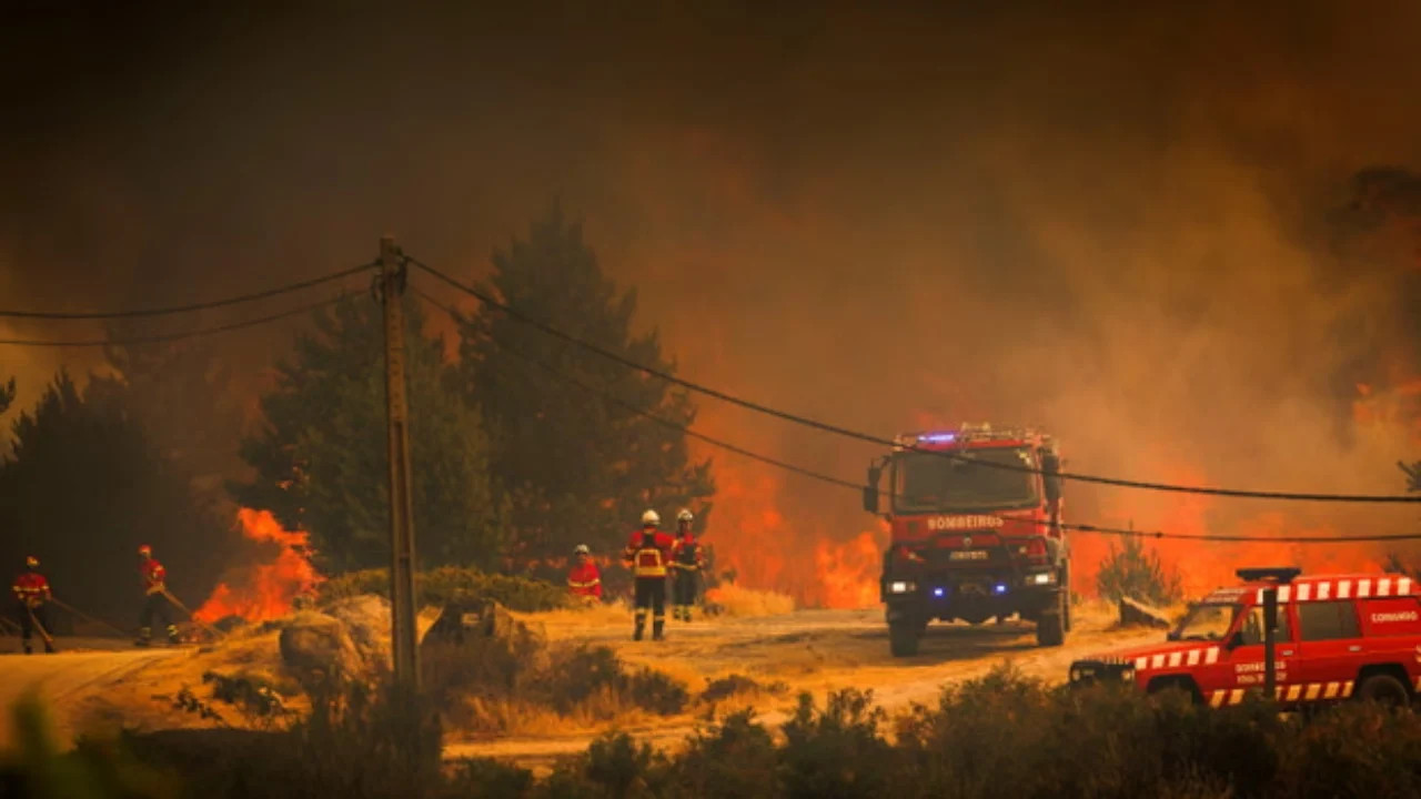 Zjarret po djegin Europën, mijëra të evakuar nga zonat e rrezikut