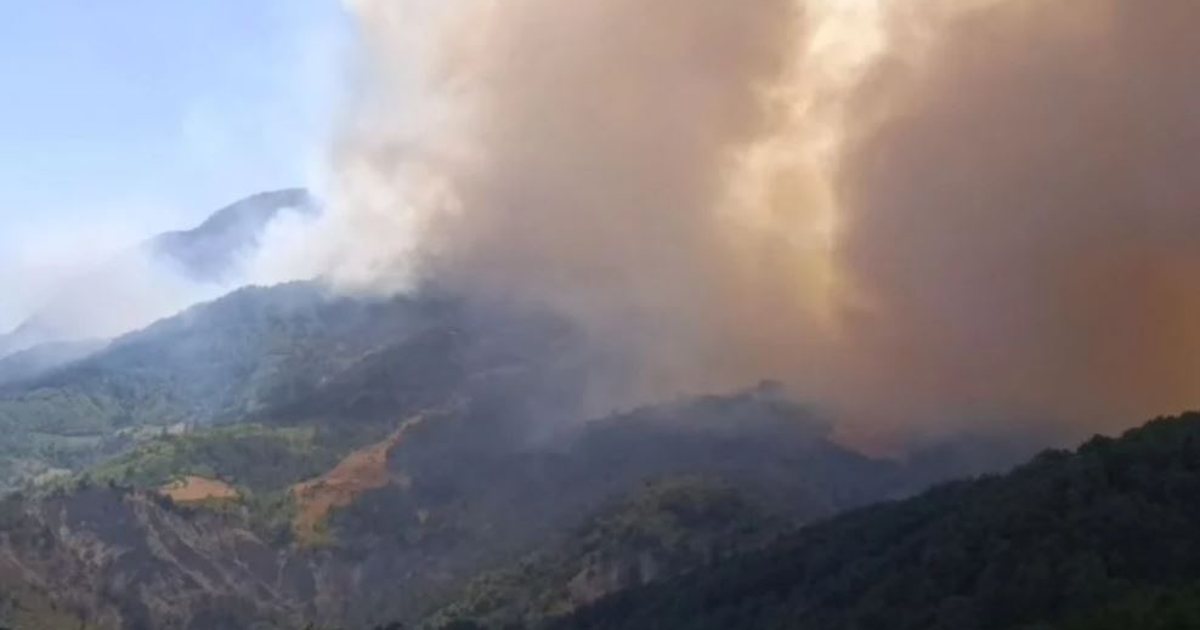 Zjarri në Malin e Koshnicës në Gramsh, humb jetën një i moshuar