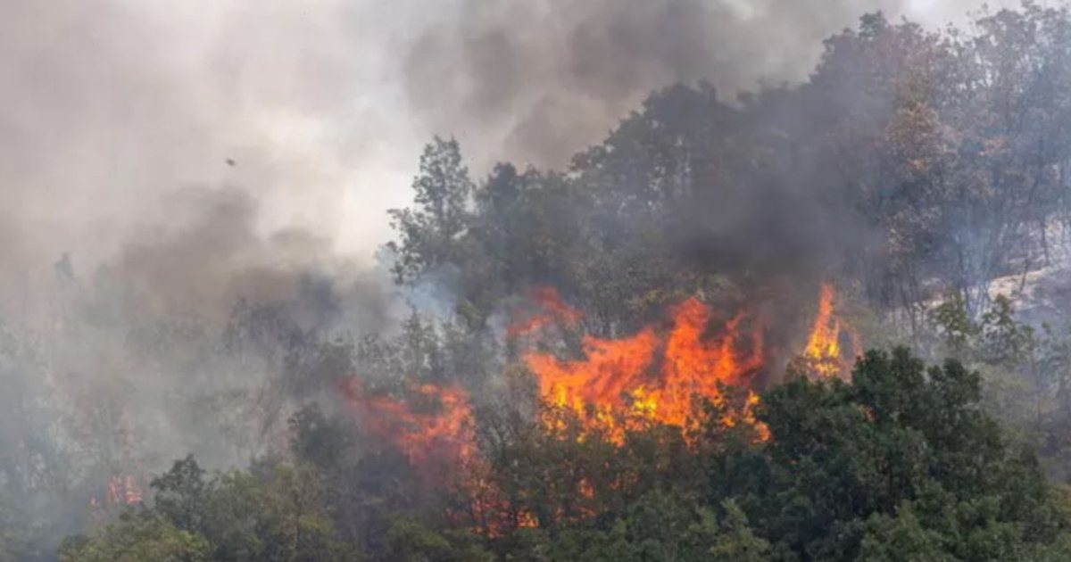 Zjarri në malin e Skërficës, rrezikohet të përhapet edhe në Gjirokastër. Kërkohet ndërhyrje nga ajri