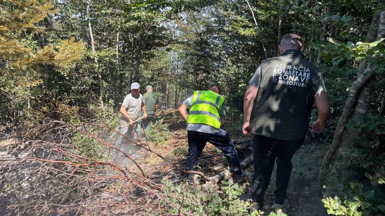Zjarri në Parkun Natyror të Munellës, forcat zjarrfikëse vënë nën kontroll flakët