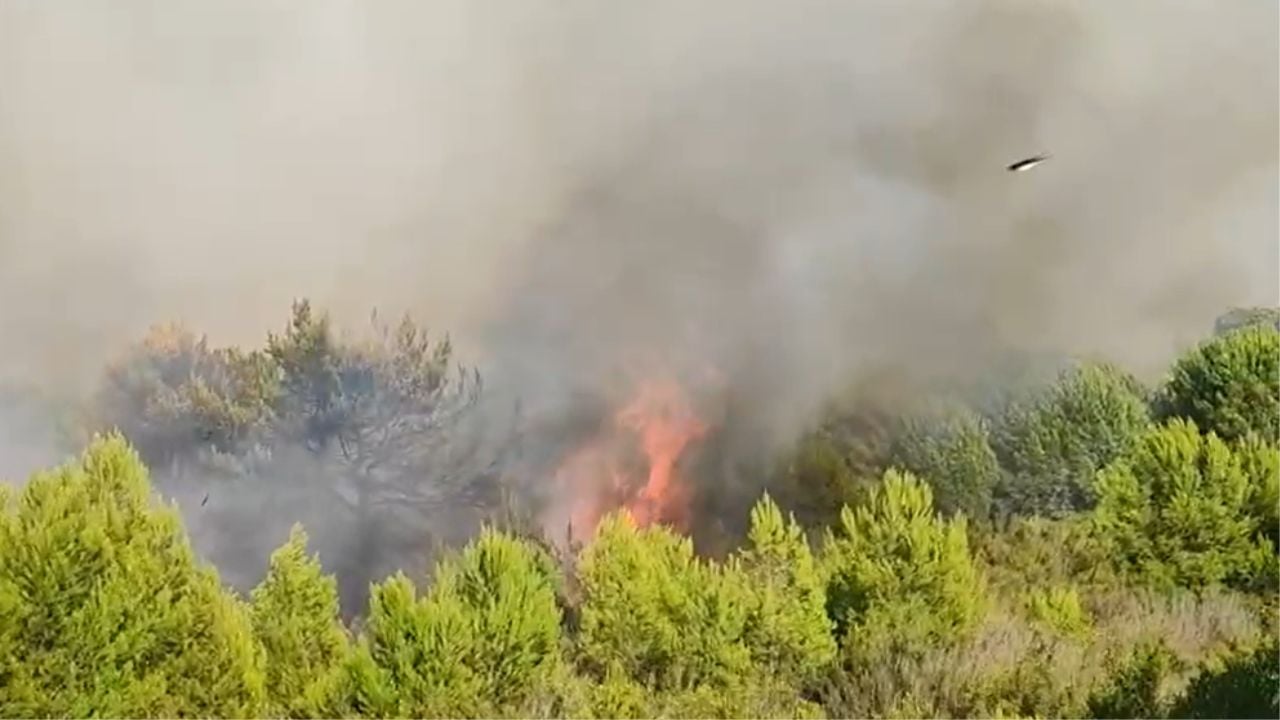 Zjarri në Vlorë dyshohet i qëllimshëm! Kryebashkiaku: Në mëngjes presim ndihmë shtesë nga forcat e armatosura
