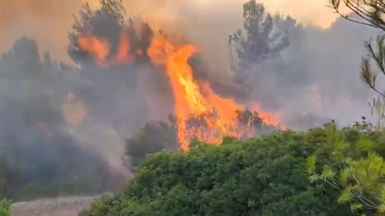 Zjarri në Vlorë përhapet me shpejtësi! Terreni i vështirë pengon zjarrfikëset, ndërhyjnë katër helikopterë