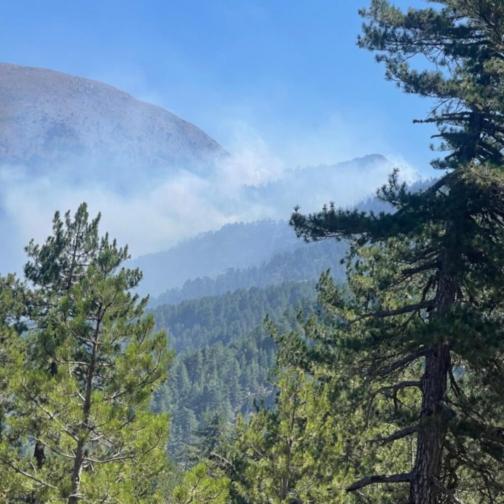 Zjarri në zonën e minuar pranë Parkut Natyror të Gërmjenit, forcat xheniere në…