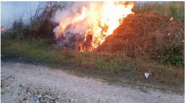 Zjarri përfshin pyllin pranë banesave në Sopot të Bulqizës, rrezikohen shtëpitë