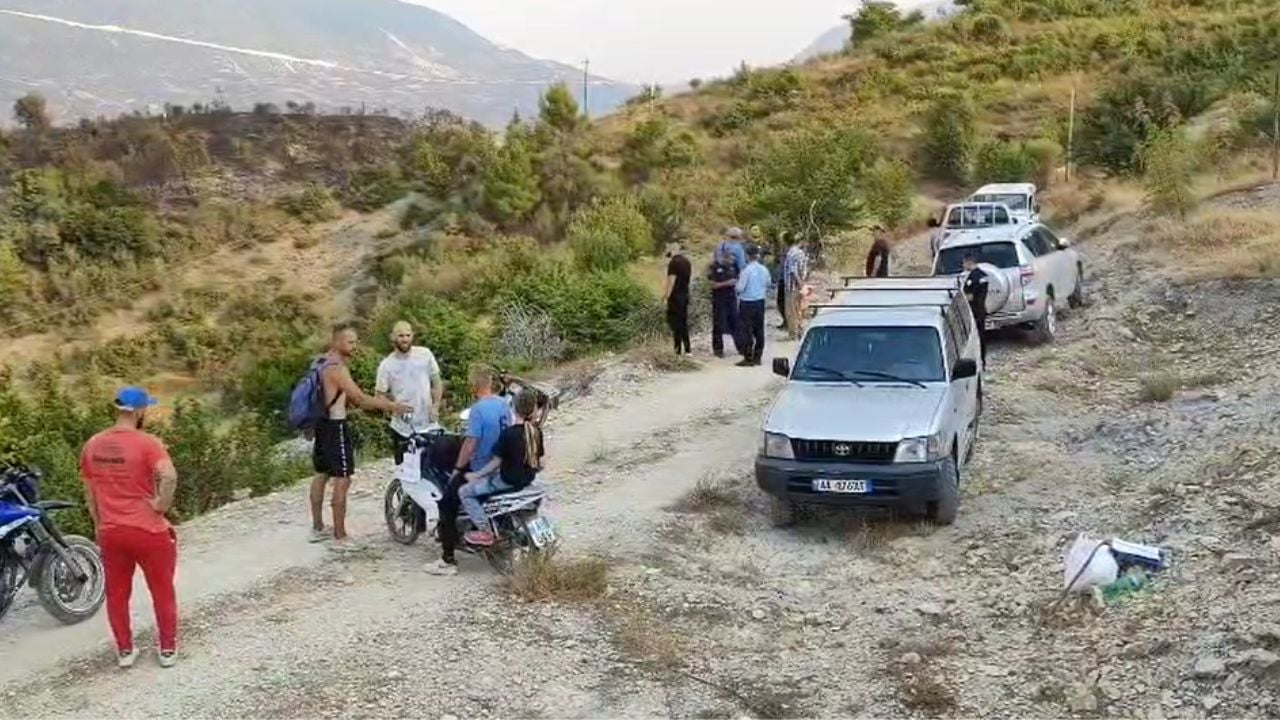 Zjarri përfshin të gjithë njësinë administrative të Plashnikut në Poliçan, një pjesë e banorëve refuzojnë evakuuimin