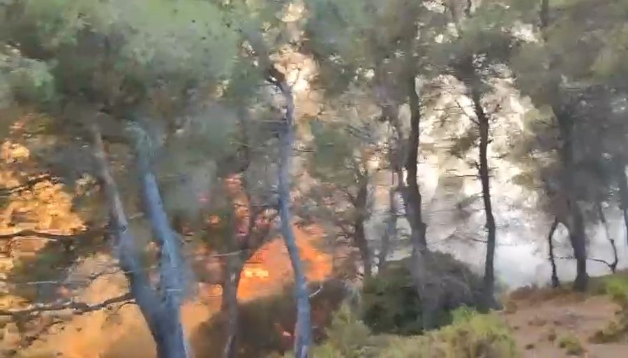 Zjarri pranë Lagunës së Nartës në Vlorë, 4 helikopterë në terren