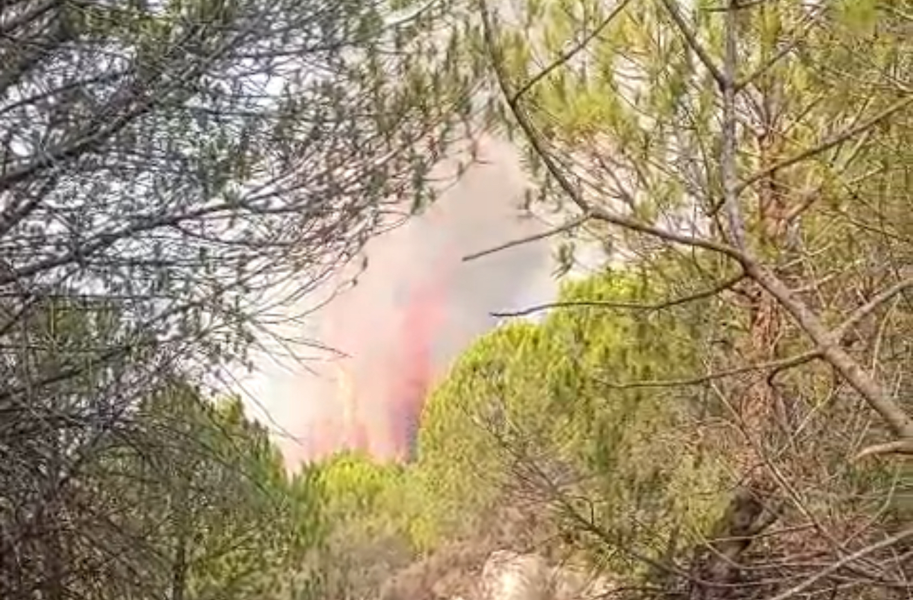 Zjarri vijon të jetë aktiv në pyllin midis Gjinoqarës, Drenies dhe Lofkëndit