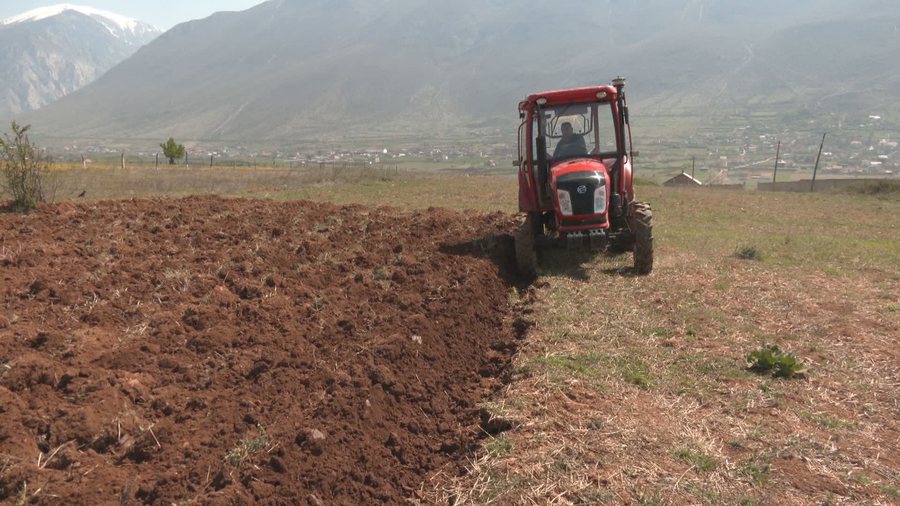 11 milionë euro për fermerët shqiptarë, 23 mijë përfitues nga Skema e Bujqësisë. Interes të lartë skema e naftës, blegtorisë dhe bletarisë