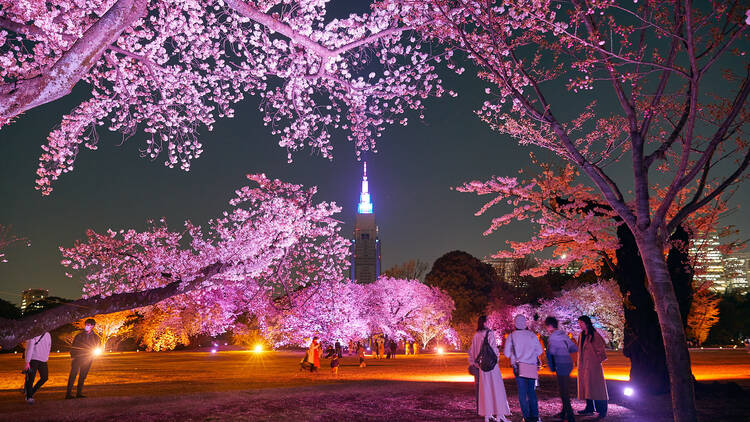 7 udhëtime për 7 tipe turistësh