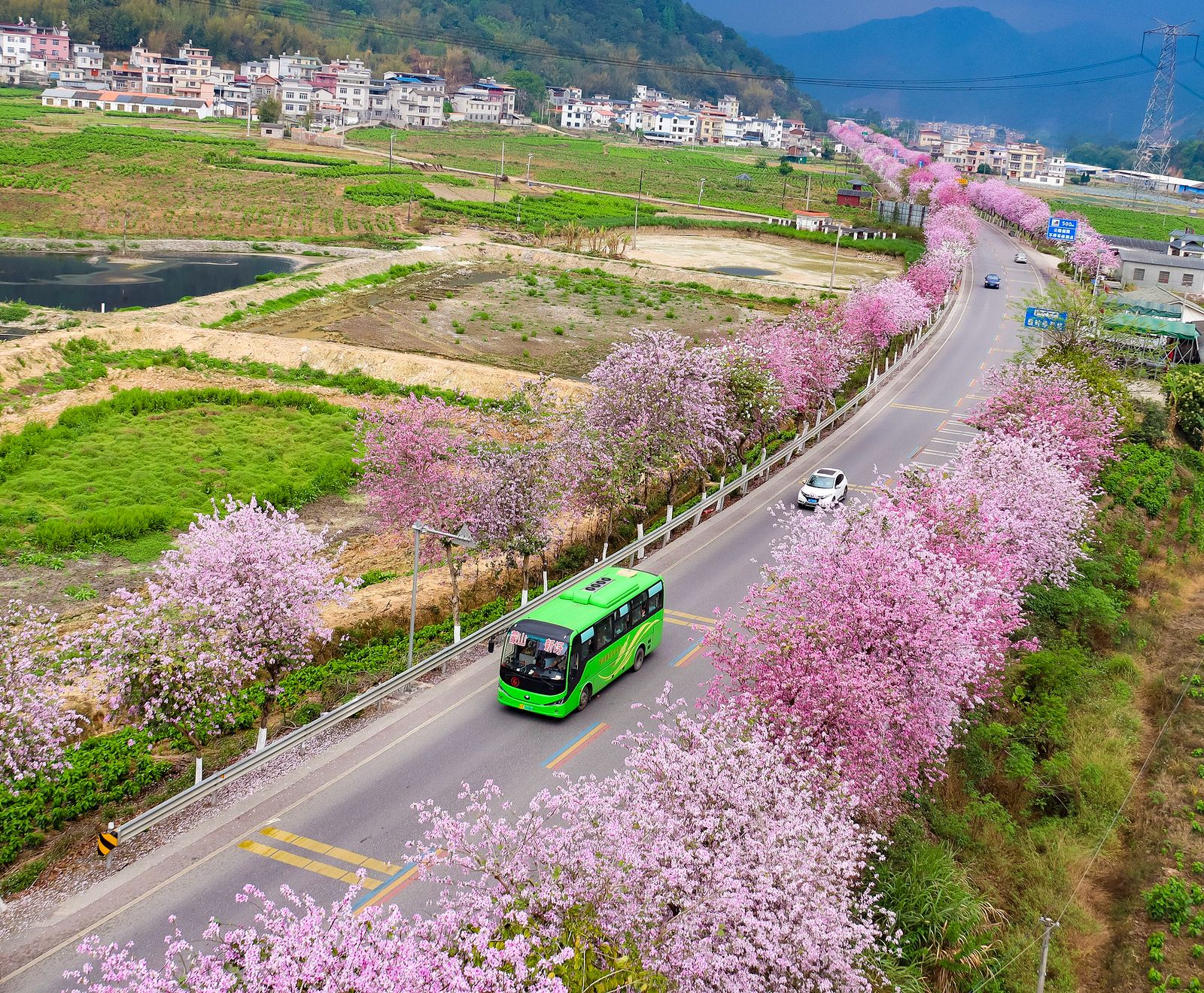Autobusët e rinj me energji të re përbëjnë 82.7% të autobusëve publikë…